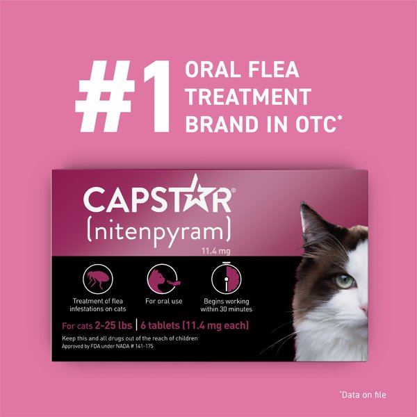 Capstar Brandclub Capstar Flea Oral Treatment for Cats 2 25 lbs 6 Tablets