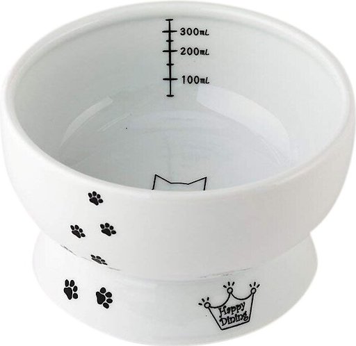 Necoichi Ceramic Elevated Cat Food & Water Bowl Set