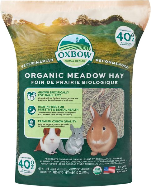 Oxbow guinea pig hay best sale