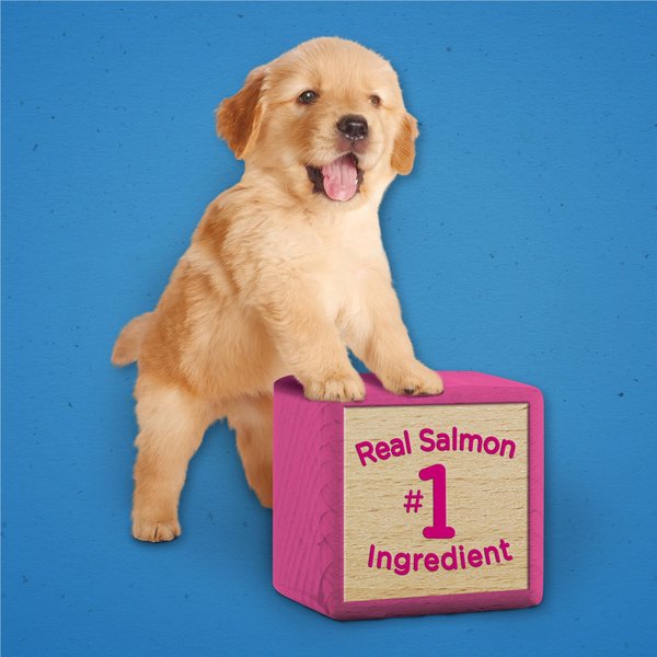 Show full view: Puppy Chow Healthy Start Salmon Flavor Training Dog Treats, 24-oz pouch slide 5 of 10