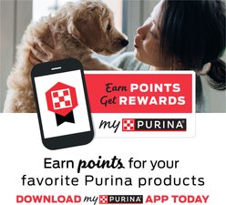 Purina Beyond Grain-Free Chicken & Beef Variety Pack Canned Dog Food, 13-oz, case of 12 slide 2 of 9