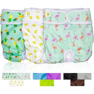 Pet Magasin Washable Female Dog Diapers, Print, Large: 16 to 24-in waist, 3 count