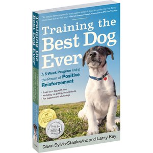 Training the Best Dog Ever