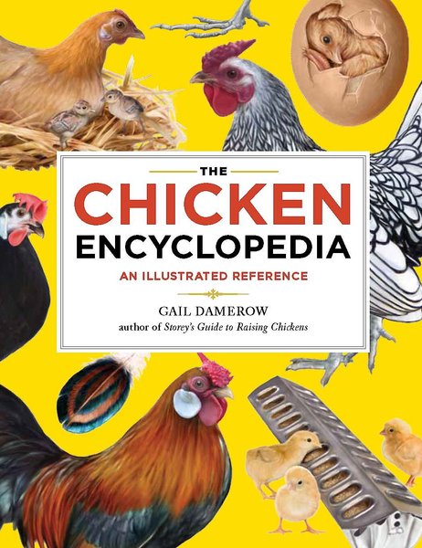 Chicken Encyclopedia slide 1 of 6