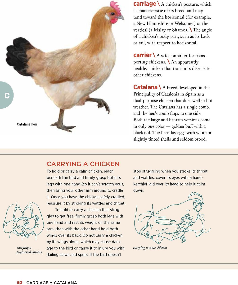 Chicken Encyclopedia - Chewy.com