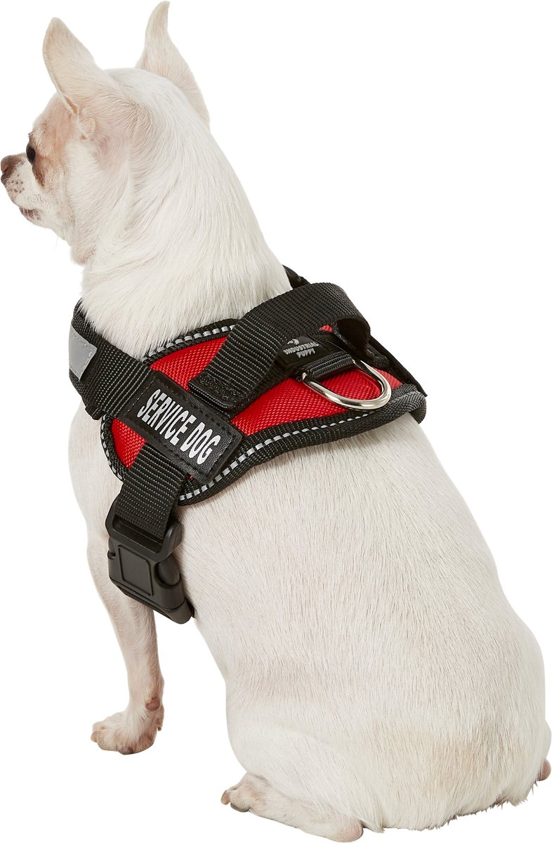 Chewy service 2025 dog harness