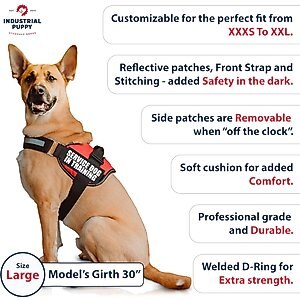 Industrial Puppy Emotional Support Animal ESA Reflective Dog Harness & Leash, Red, Large: 27 to 33.5-in chest