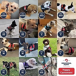 Industrial Puppy Emotional Support Animal ESA Reflective Dog Harness & Leash, Red, Large: 27 to 33.5-in chest