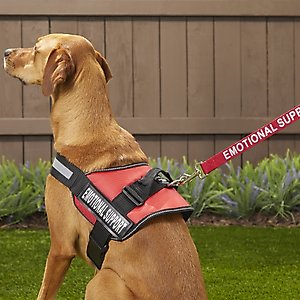 Industrial Puppy Emotional Support Animal ESA Reflective Dog Harness & Leash, Red, Large: 27 to 33.5-in chest