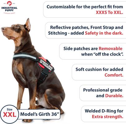 Show full view: Industrial Puppy Emotional Support Animal ESA Reflective Dog Harness & Leash, Red, XX-Large: 33 to 43-in chest slide 3 of 11