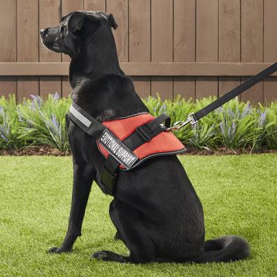 Show full view: Industrial Puppy Emotional Support Animal ESA Reflective Dog Harness & Leash, Red, XX-Large: 33 to 43-in chest slide 6 of 11