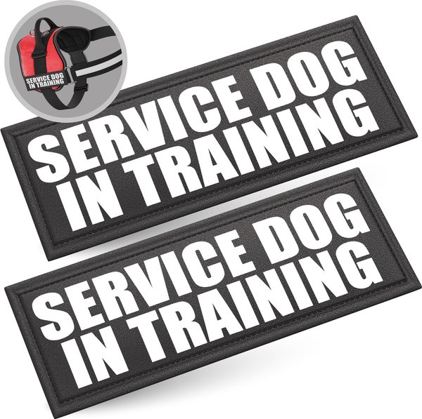 Industrial Puppy Service Dog In Training Patches, Large, 2 count slide 1 of 7
