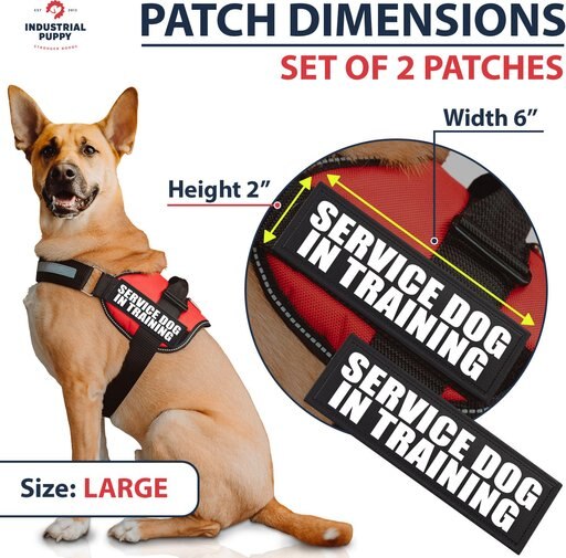 Industrial Puppy Service Dog In Training Patches, Large, 2 count