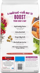 Purina Beneful Natural Superfood Blend with Salmon Dry Dog Food, 4.25-lb bag slide 2 of 9