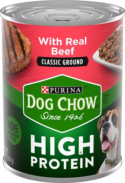 what dog food has the highest protein