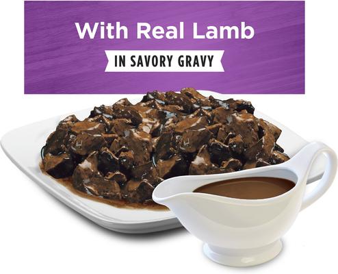 Show full view: Dog Chow High Protein Lamb in Savory Gravy Canned Dog Food, 13-oz can, case of 12 slide 5 of 12