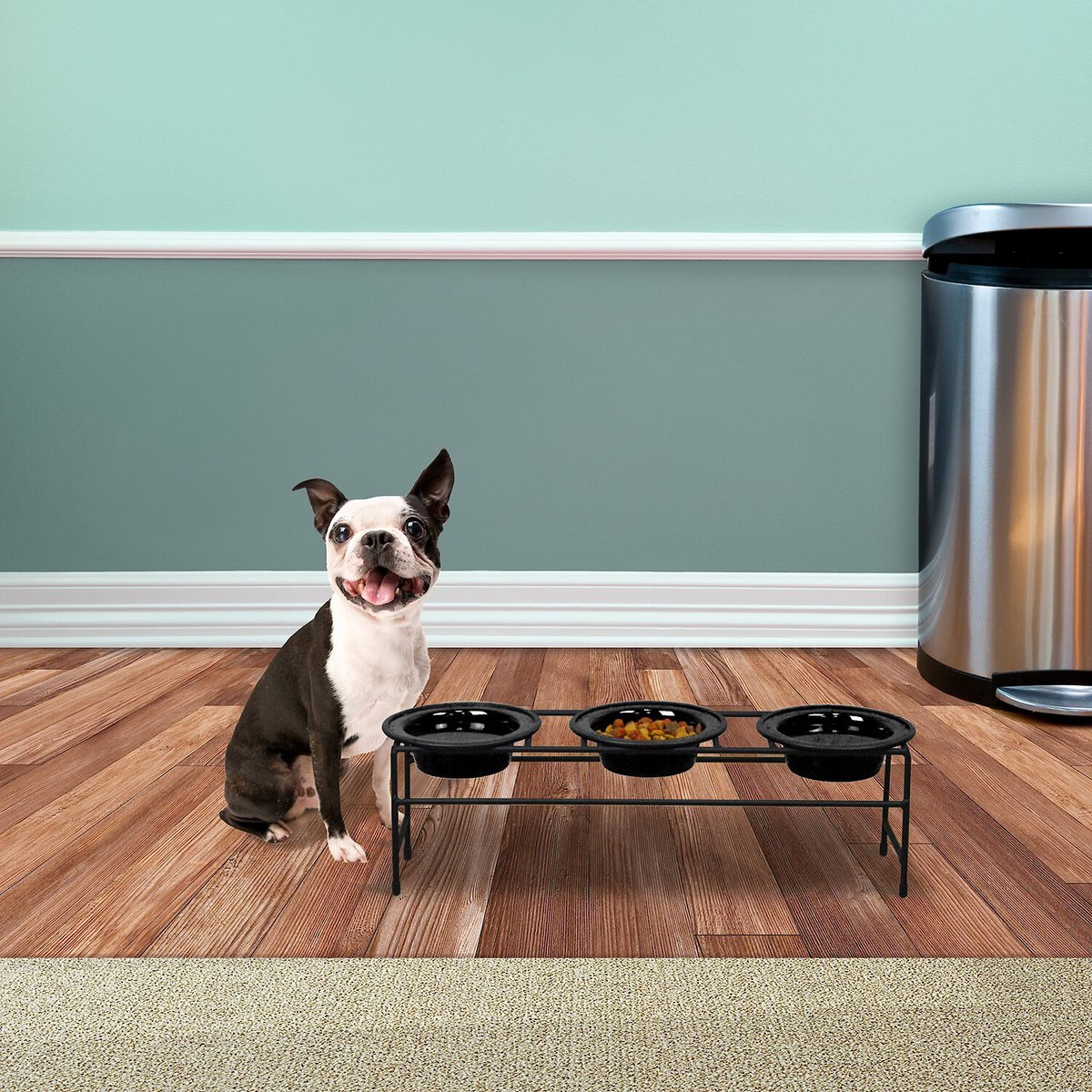 Platinum pets clearance elevated pet diner