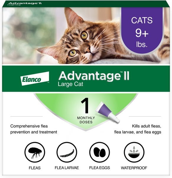 Advantage II Flea Spot Treatment for Cats, over 9 lbs, 1 Dose (1-mo. supply) slide 1 of 12