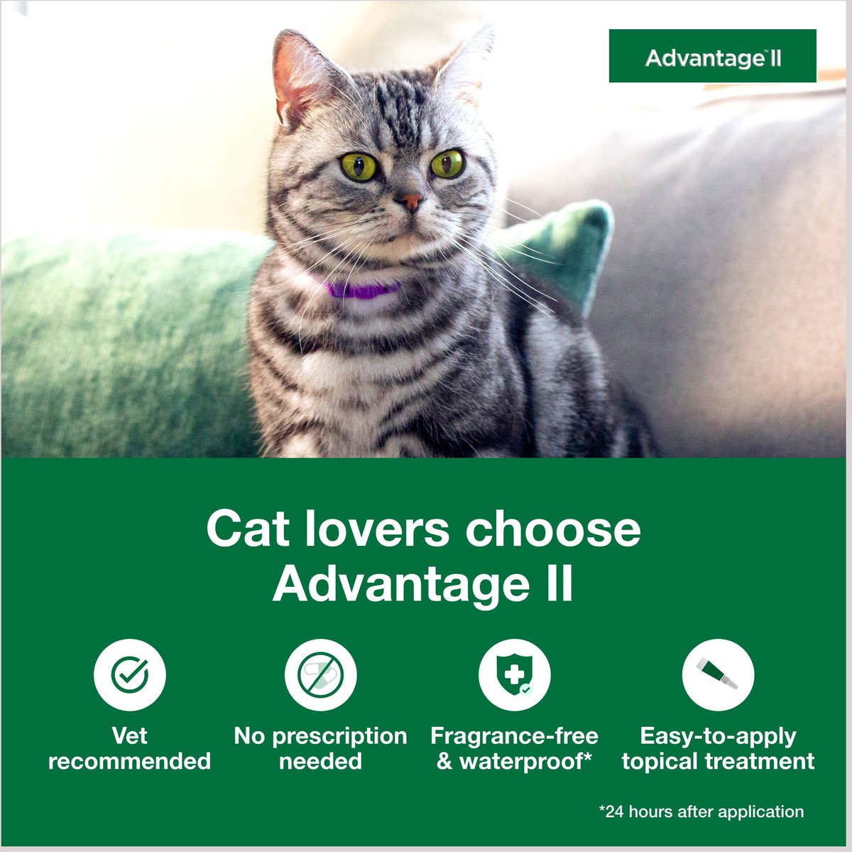 Advantage ii best sale flea medicine