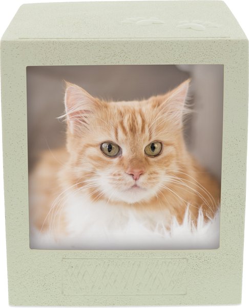 Chewy pet cheap urns