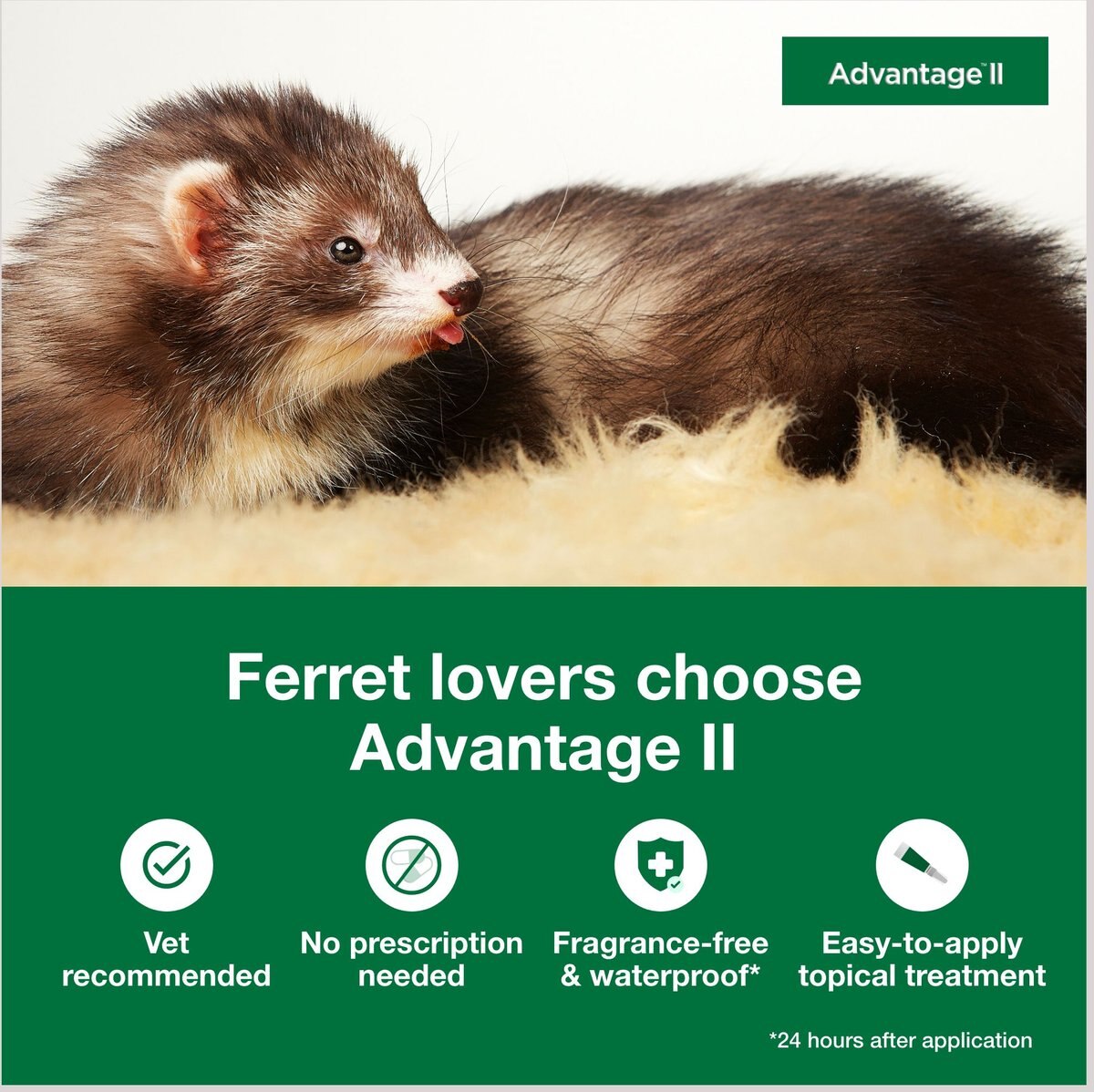 ADVANTAGE II Flea Treatment for Ferrets