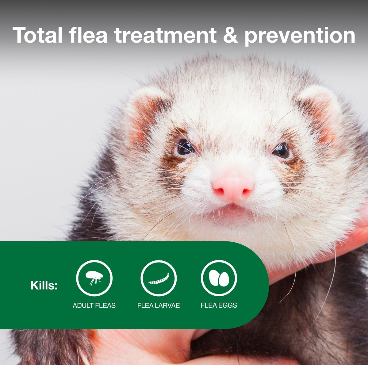 ADVANTAGE II Flea Treatment for Ferrets