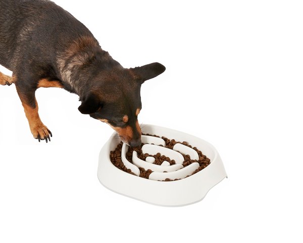 Frisco Non-Skid Slow Feeder Dog & Small Pet Bowl, White slide 1 of 7