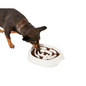 Frisco Non-Skid Slow Feeder Dog & Small Pet Bowl, White