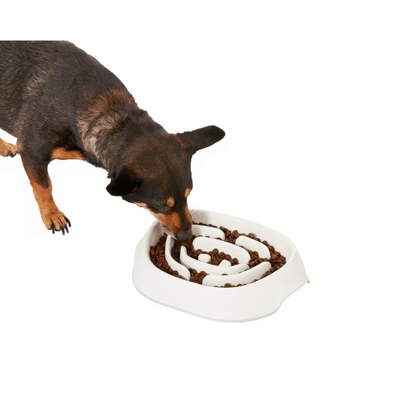 Leashboss Raised Pet Feeders Slow Feed Dog Bowl, 2-Cup, Blue