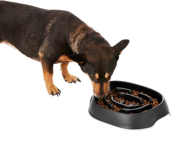 Frisco Non-Skid Slow Feeder Dog & Small Pet Bowl, Black