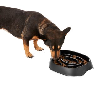 Frisco Non-Skid Slow Feeder Dog & Small Pet Bowl, Black, Medium: 4 cup