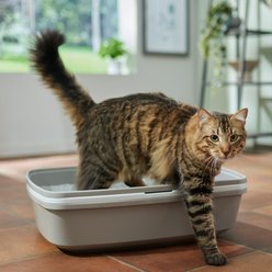 Frisco Sifting Cat Litter Box, Large, 22-in