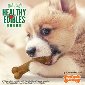 Nylabone Healthy Edibles Bacon, Roast Beef, & Turkey Puppy Starter Kit Dog Treats, 3 pack