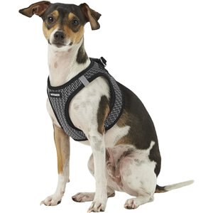 Best Pet Supplies Voyager All Season Mesh Dog Harness, Gray, Small