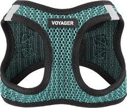 Best Pet Supplies Voyager All Season Mesh Dog Harness, Turquoise, X-Small