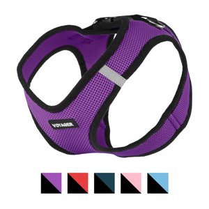 Best Pet Supplies Voyager Black Trim Mesh Dog Harness, Purple, X-Large