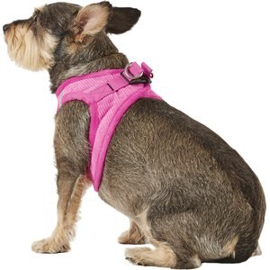 Best Pet Supplies Voyager Corduroy Dog Harness, Fuchsia, Medium