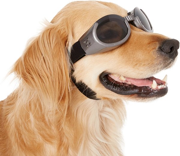 how are doggles measured