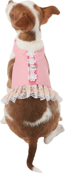 Chewy dog outlet dresses