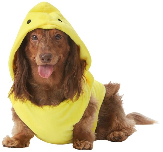 PEEPS Easter Chick Dog Costume, Medium