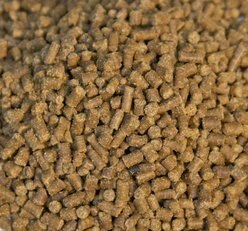 Zoo Med Hermit Crab Food, 2.4-oz jar slide 2 of 2