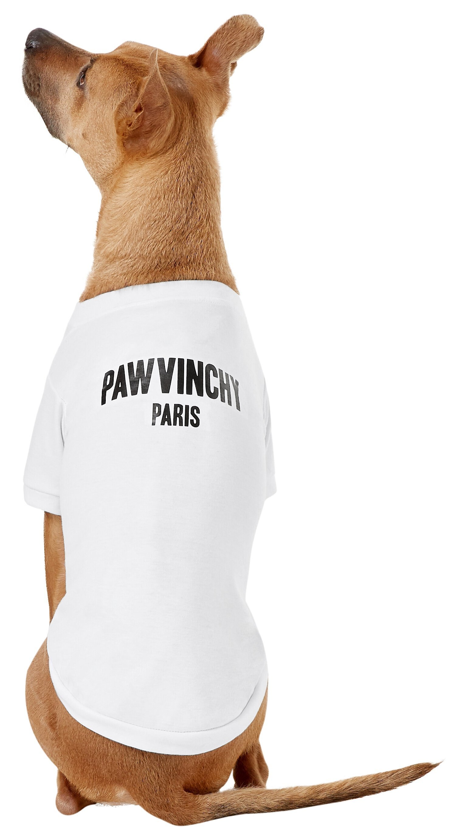 Pawmain "PUPREME" Dog Streetwear Hoodie