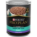 Purina Pro Plan Development Puppy Classic Turkey Entree Grain-Free Canned Dog Food, 13-oz, case of 12