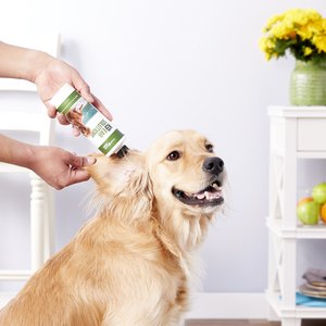 Liquid Health Pets K9 Ear Solutions Dog Ear Cleaner