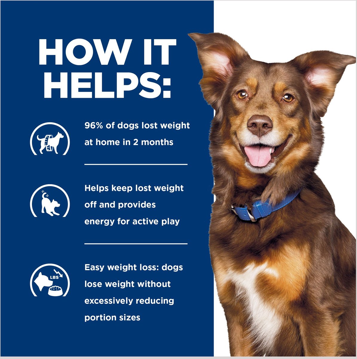 Dog 2024 metabolic diet