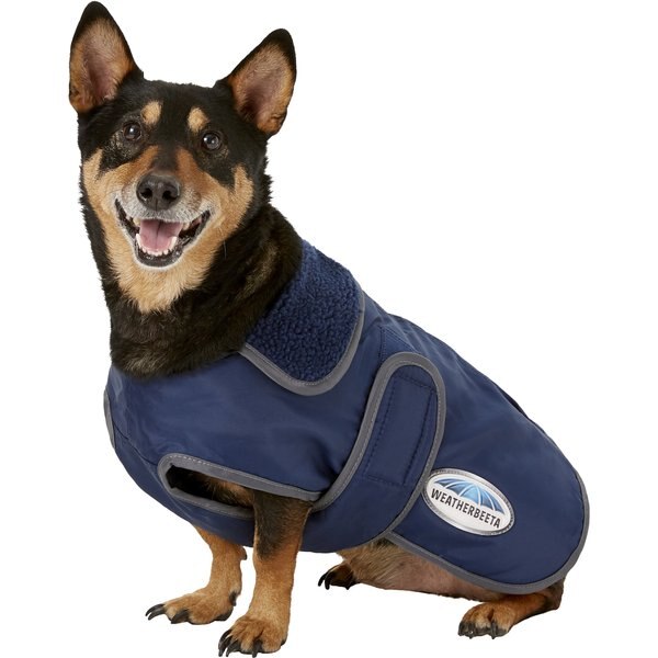 weatherbeeta 300d deluxe reflective dog parka