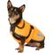 Show in main carousel: WeatherBeeta Reflective Orange 300D Deluxe Dog Parka, 16-in slide 1 of 8