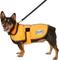 Show in main carousel: WeatherBeeta Reflective Orange 300D Deluxe Dog Parka, 16-in slide 7 of 8