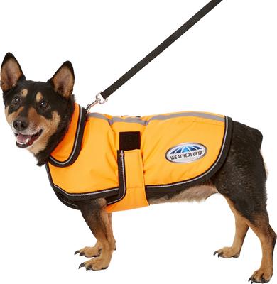 Show full view: WeatherBeeta Reflective Orange 300D Deluxe Dog Parka, 16-in slide 7 of 8