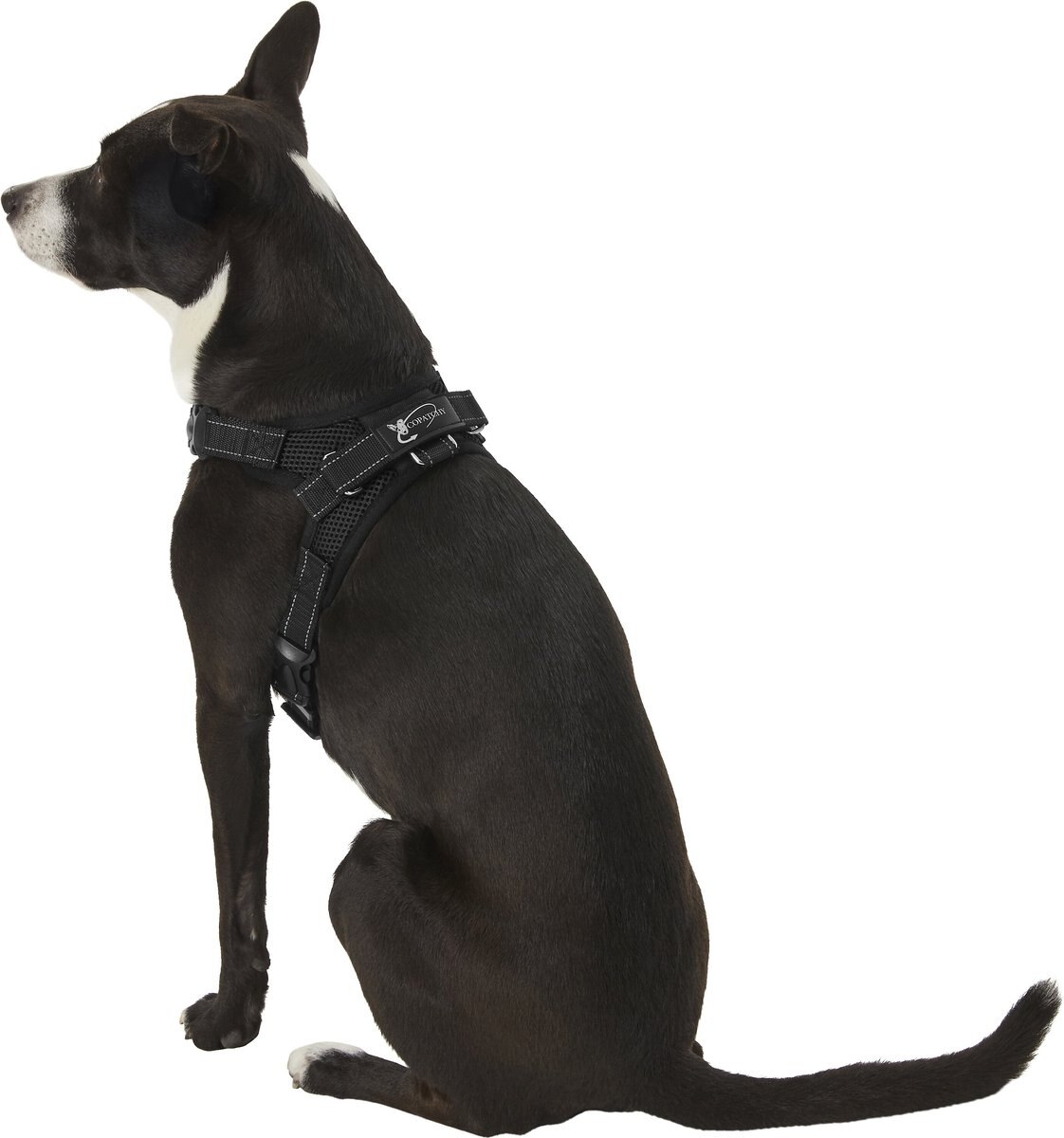 COPATCHY NoPull Reflective Adjustable Dog Harness, Black, Small